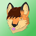 Folf headshot