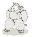 Tiger in ceremonial cloth