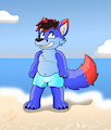 Marcumi the Fox