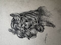 MCFC 2024 Graphite Commission - Lionness