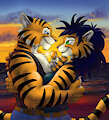 Tiger Romance At Sunset