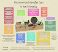 Hamster Care by Toxoplasmosis