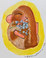 Bleary (Painted at the Homeless Shelter)