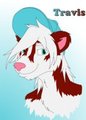 Travis (Cooncub)
