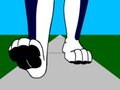These Paws Were Made for Walking...