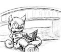 Pic 2 book by masterlupus