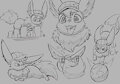 Zeevee Training by Zeevee