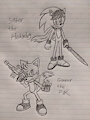Saber The Hedgehog & Gunner The Fox