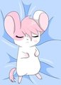 Sleepy Sashimi