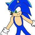 Sonic the hedgehog