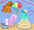 filly in the cake