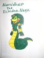Manidhar the Echidna Naga