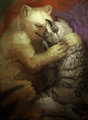 Bearhug (of Spottacus and Foxmajik, by Firefeathers) by spottacus