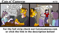 Cats n Cameras Strip #172 - A Wild Jo appears!