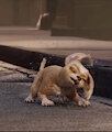 Gracie (Gif) by tedla