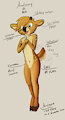Anatomy of Kiki by Nareki