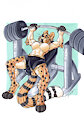 Pumping Iron