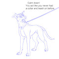 First leash and collar by Mearcu