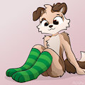 Socks YCH for JendaLinda