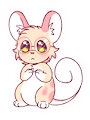 Lantern Mouse