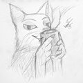 Coffee Cat by JustW