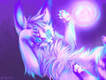 Erro Kitten