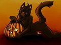 Halloween Kitty