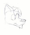 3D Danwolf head