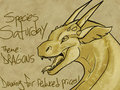 Species Saturday/Sunday! Theme: Dragons