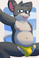 Rat swim brief by Fulte