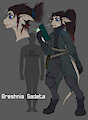 Breshnia - Color Test by FrostWyrm102