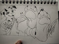 Happy Paw Day 2025 by Spotty2Wily