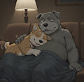 The Warmest Cuddle by PJcorgi