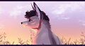 Field [P] by PatreHILLsaint