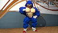 Sonic In Dance