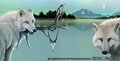 Healing Wolf Jewelry - by Khaos Dog 
