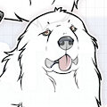 BUNDLE: Pyrenees dog