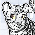 BUNDLE: Ocelot + makrings (Disney Style) by NorthernRed