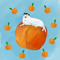 Seal pup and peaches