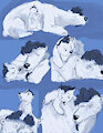 Polar bears AU