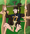 [CMSN] Jungle Gym
