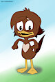 Monk Duck