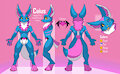 Caius. Reference Sheet. Comm.#831 by cyndybell