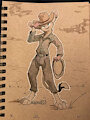 Cowboy Lucky by Animancer
