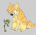 Looks Familiar by TFW