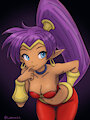 Helf genie hero Shantae likes showing off a little too much! by LemLim22