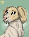 Pupper Eyes by MwendoTheCheetah