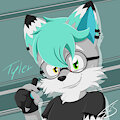 Tyler by SilverTyler25