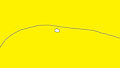 yellow belly