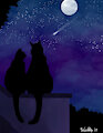 Stargazers